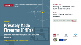 side event flyer